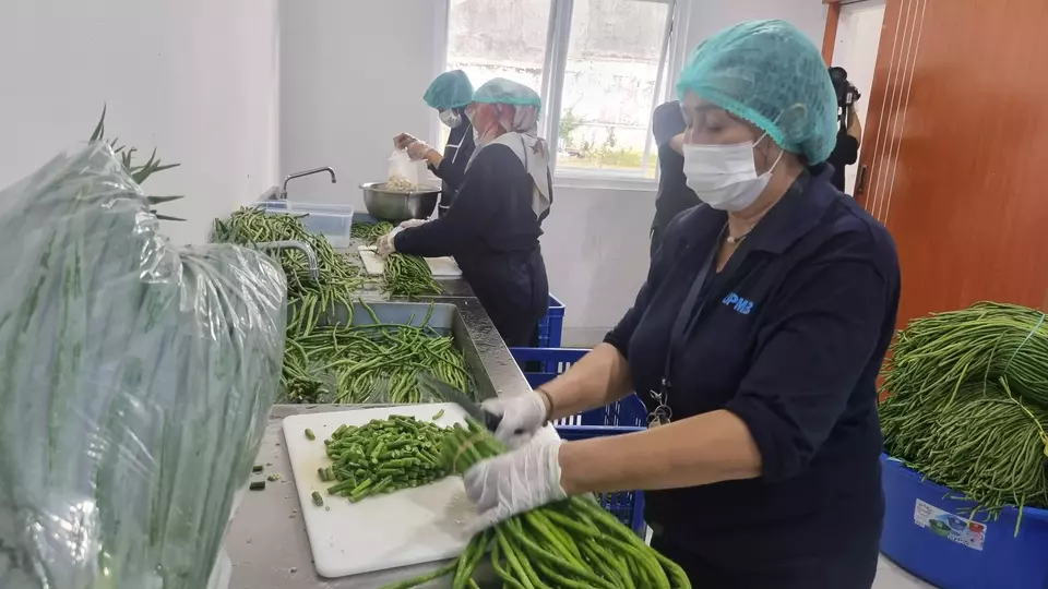 persiapan bahan untuk mbg