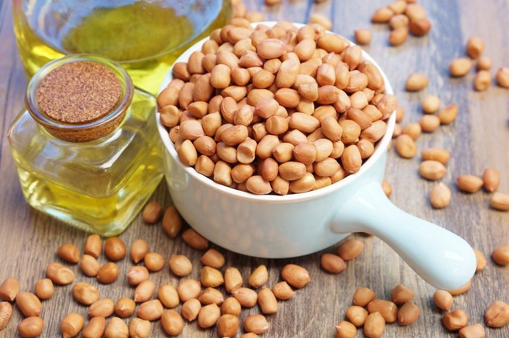 panduan usaha minyak kacang tanah rumahan