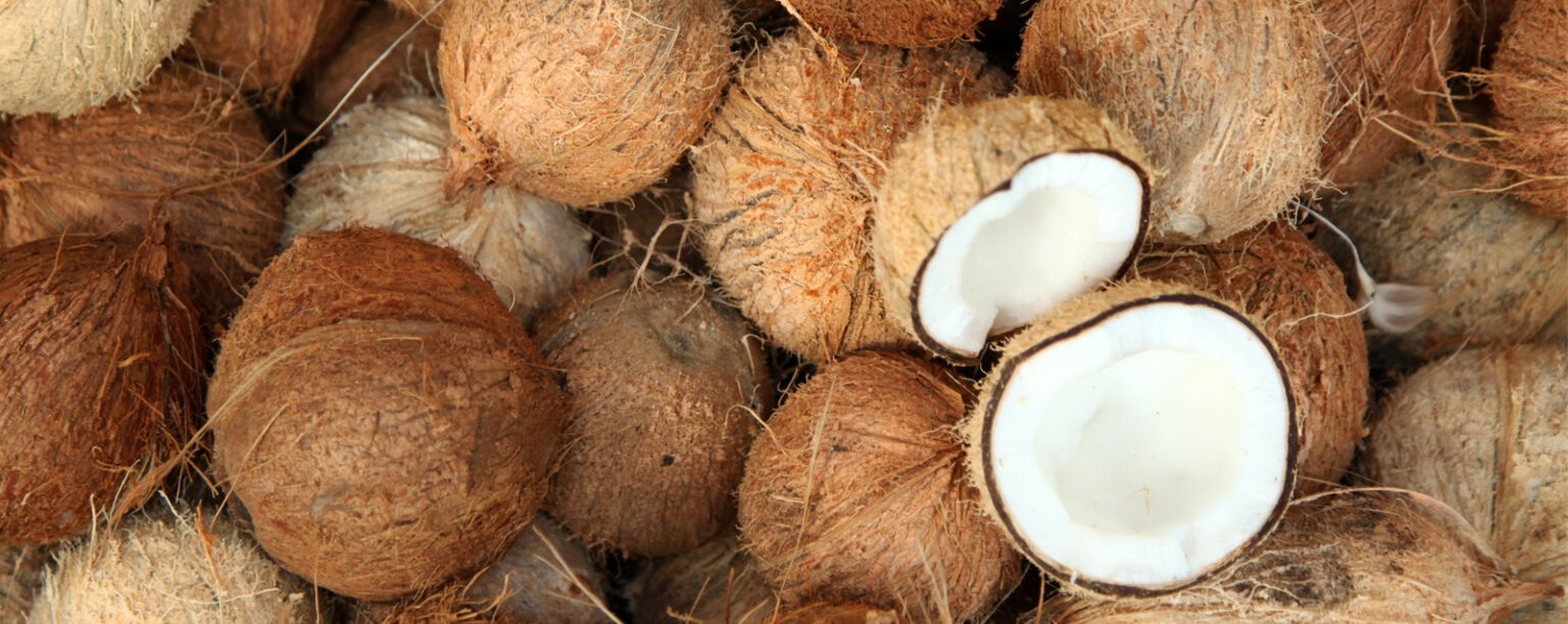 sentra kelapa inonesia