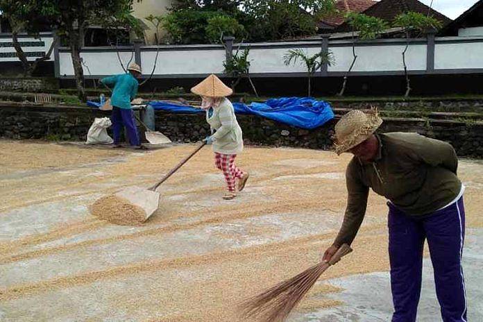 keungguln mesin enggiling padi